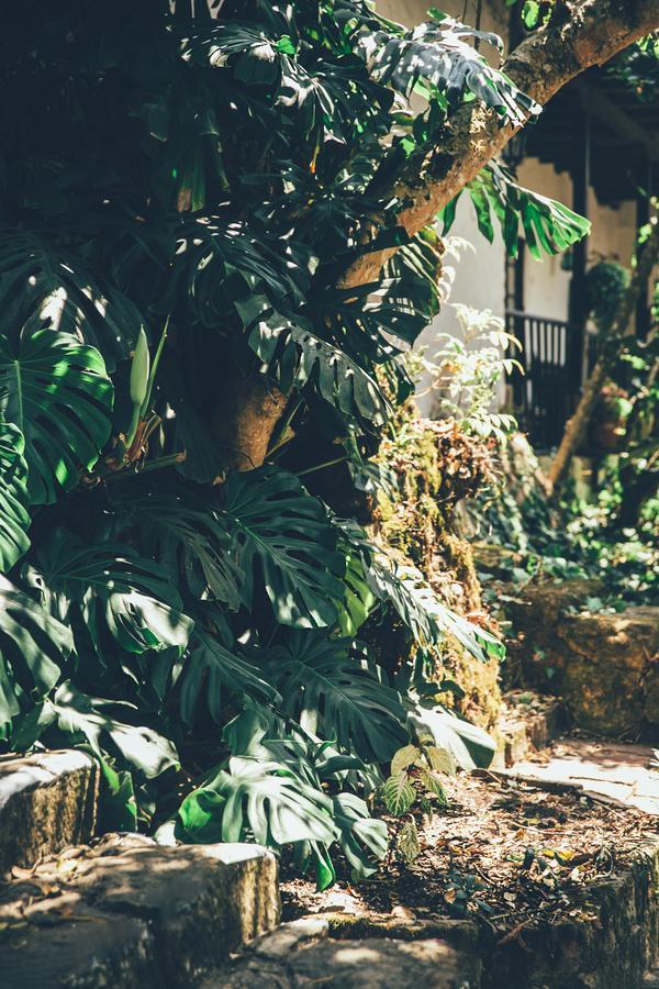 Hotel Hacienda Baza Tibana Eksteriør bilde
